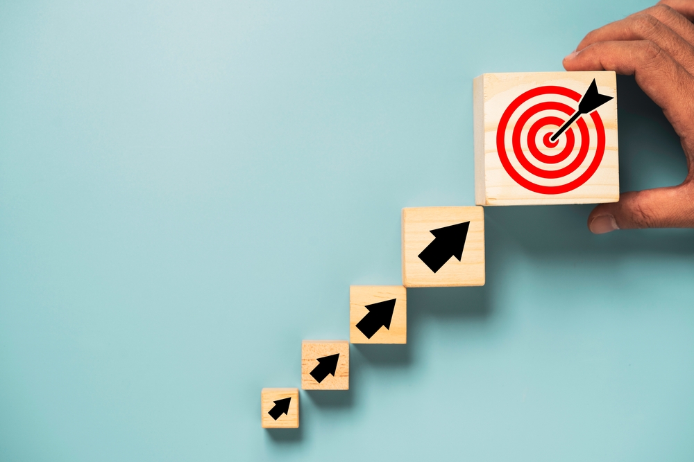 תכנית שיווק שנתית